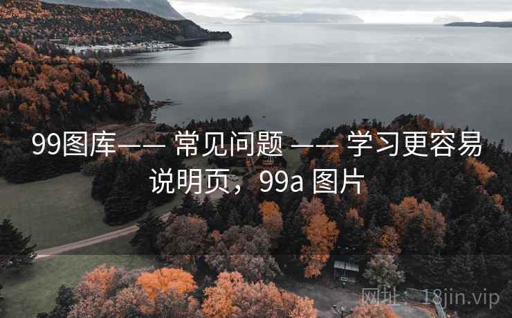 99图库—— 常见问题 —— 学习更容易说明页，99a 图片